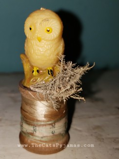 Owl Assemblage #4